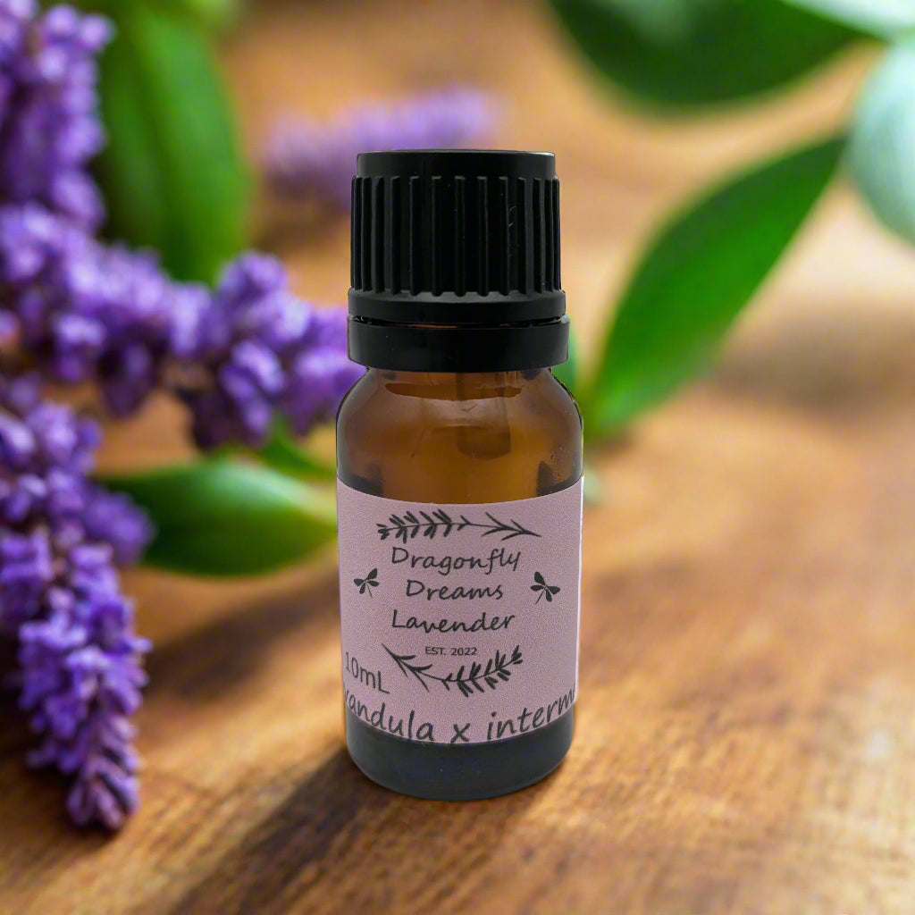 Lavender Essential Oil