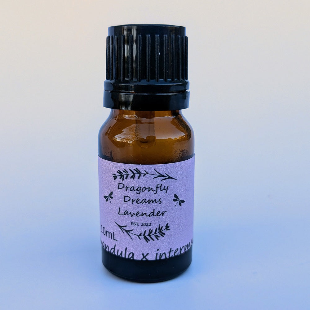 Lavender Essential Oil